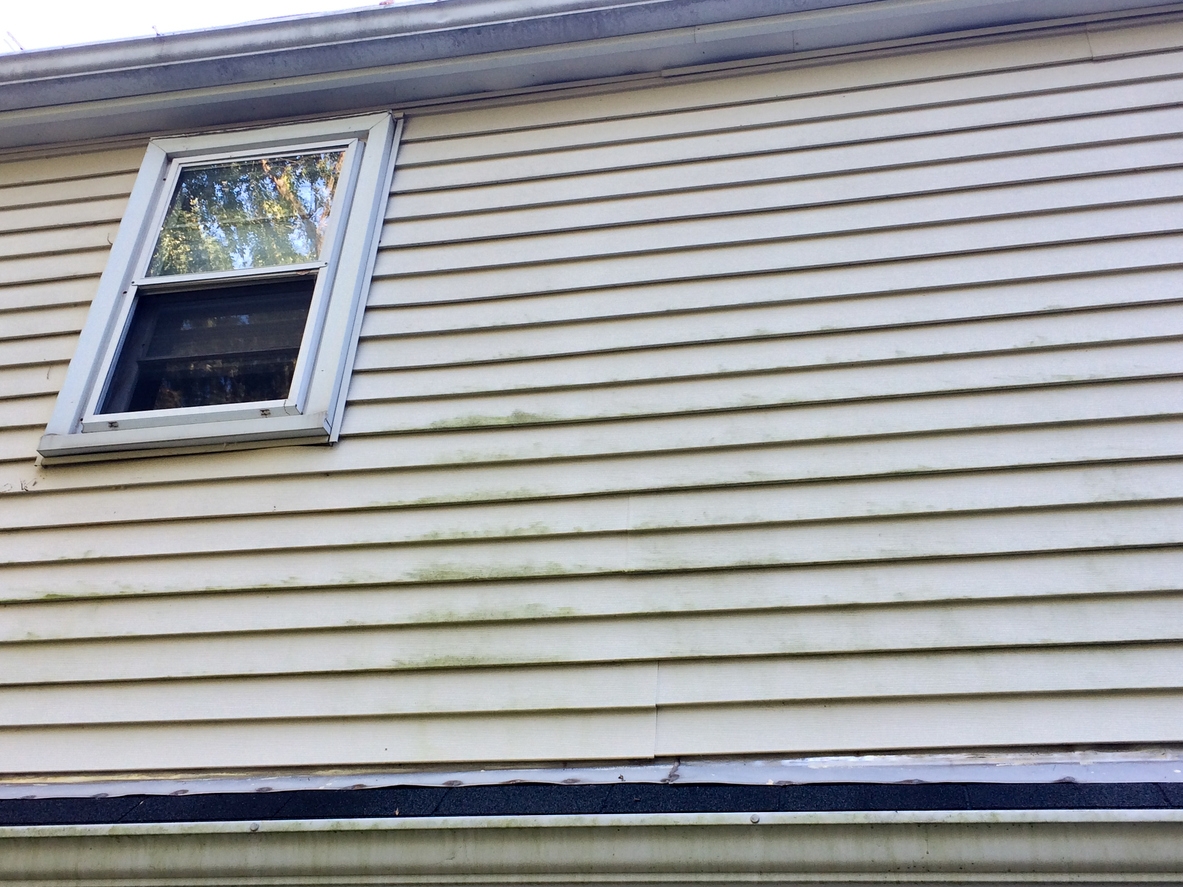 window with moldy on vinyl siding on house