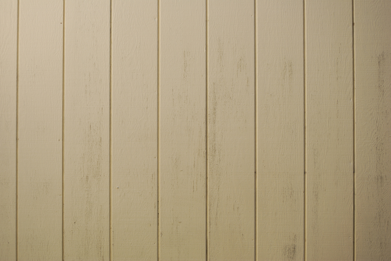 T1-11 siding painting for Concord, CA area businesses